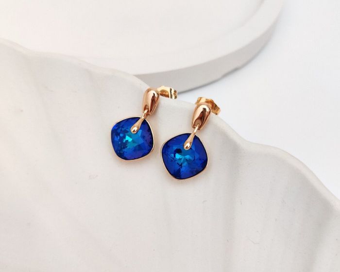 Earrings with Swarovski crystals R0971715007590