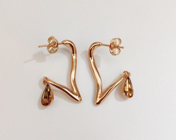 Earrings with Swarovski crystals R0972712007490