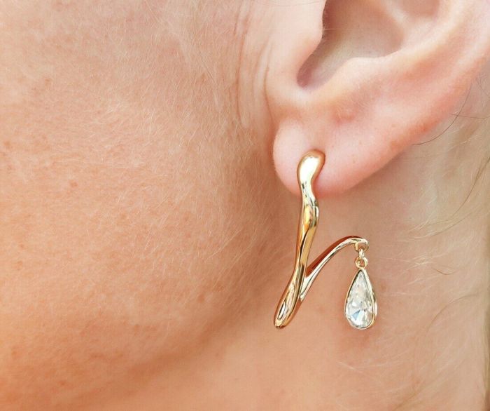 Earrings with Swarovski crystals R0976712007490
