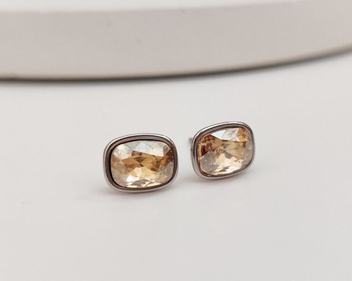 Earrings with Swarovski crystals R098079907440