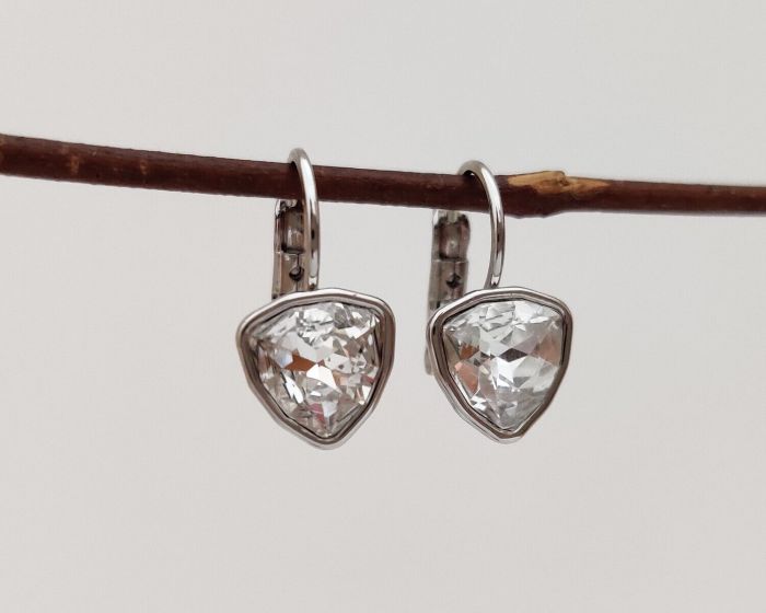 Earrings with Swarovski crystals R0982715007540