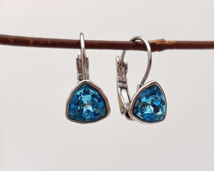 Earrings with Swarovski crystals R0983715007540