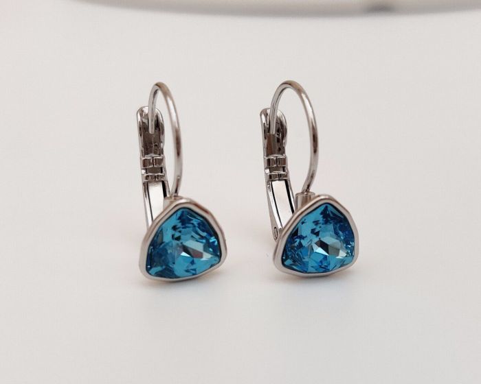 Earrings with Swarovski crystals R0983715007540