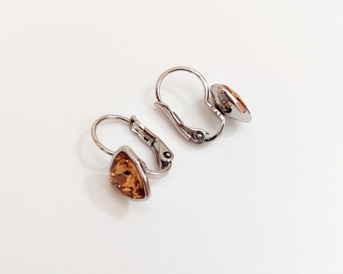 Earrings with Swarovski crystals R0984715007490