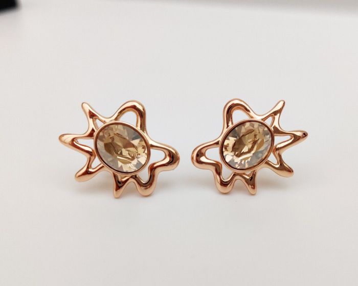 Earrings with Swarovski crystals R0985712007440