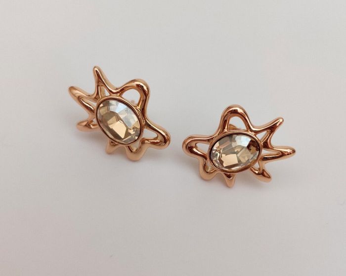 Earrings with Swarovski crystals R0985712007440