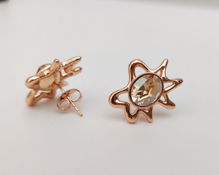 Earrings with Swarovski crystals R0985712007440