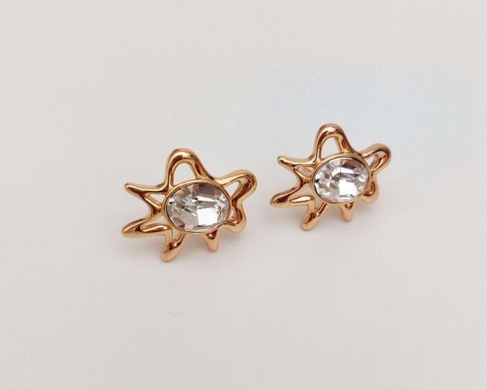 Earrings with Swarovski crystals R0987712007440