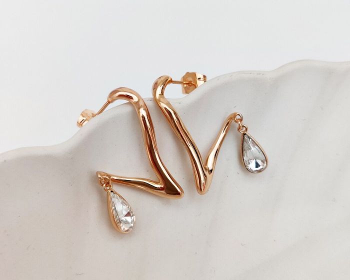 Earrings with Swarovski crystals R0976712007490