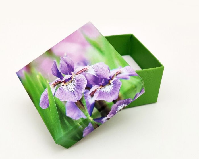 Gift box, Iris 90030/B