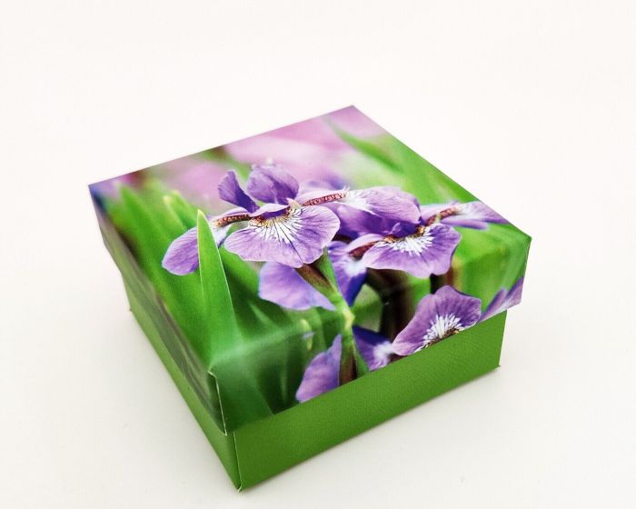 Gift box, Iris 90030/B