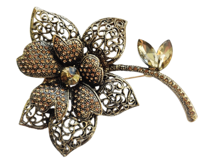 Brooch R206576507230